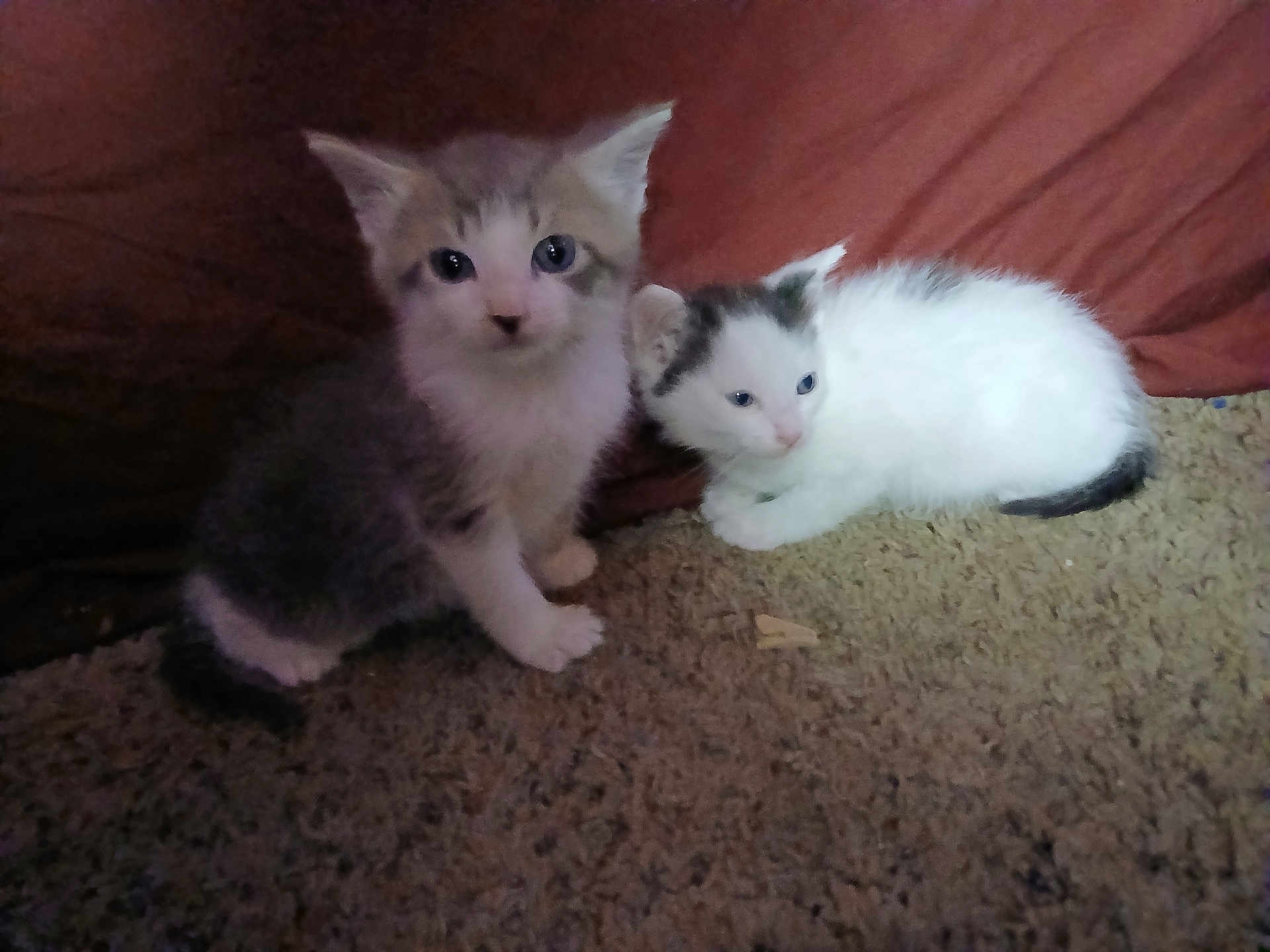 Smokeyandbandit