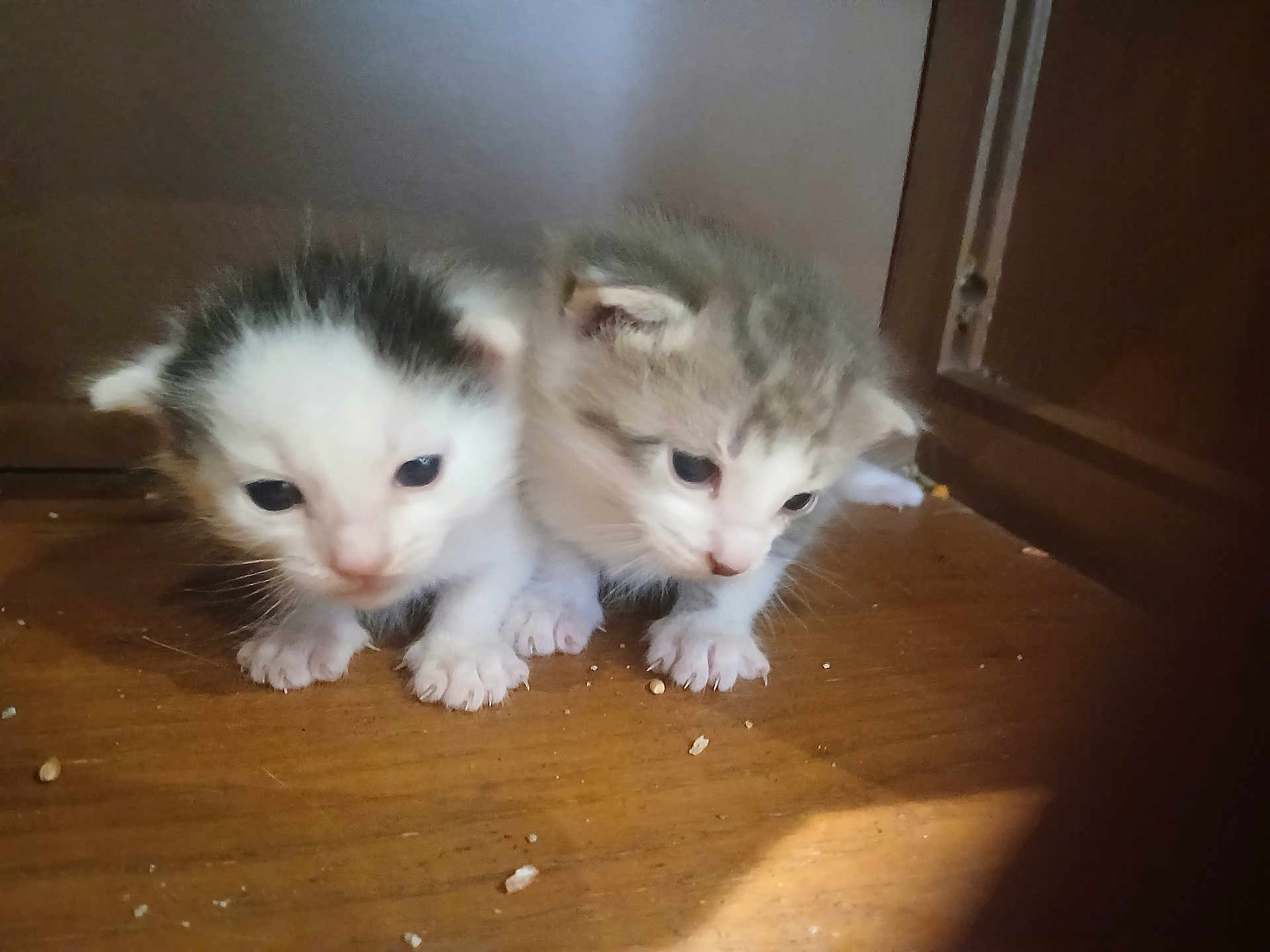Smokeyandbandit