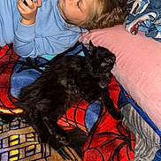 Josiah joined the competition — help win amazing prizes! black_cat, blanket, blue_sweatshirt, casual, cat, child, comfort, curly_hair, cushion, gaming_device, home, indoor, leisure, pet, playing, relaxing, resting, spiderman, toy, young_person