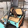 cat, tabby_cat, golf_cart, vehicle, garage, steering_wheel, seat, curious, pet, indoor, floor, window, side_mirror, control_panel, harness, wood_paneling, sticker, door, handle, lighting