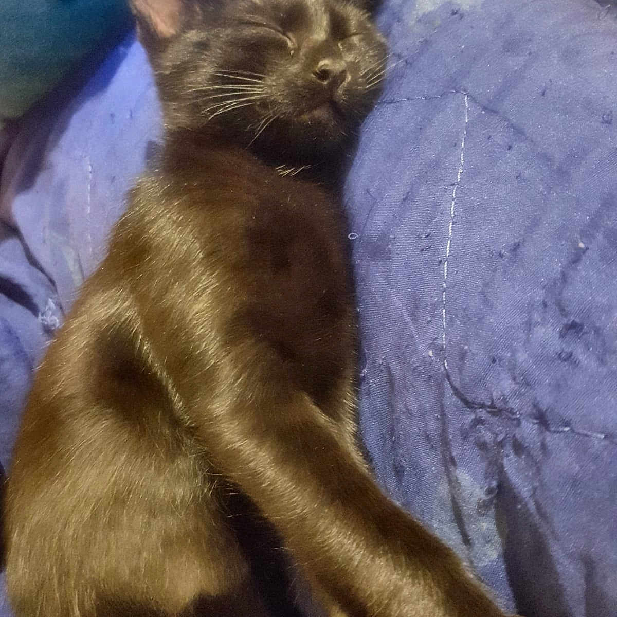 Rosie
