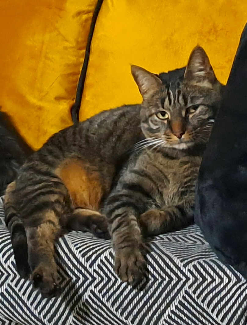 Maurice