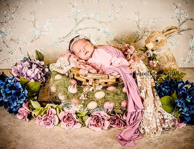 Audriana joined the competition — help win amazing prizes! baby, bouquet, comfort, cut_flowers, event, flash_photography, floral_design, flower, flower_arranging, fruit, grass, happy, person, petal, pink, plant, purple, rose, textile, toddler