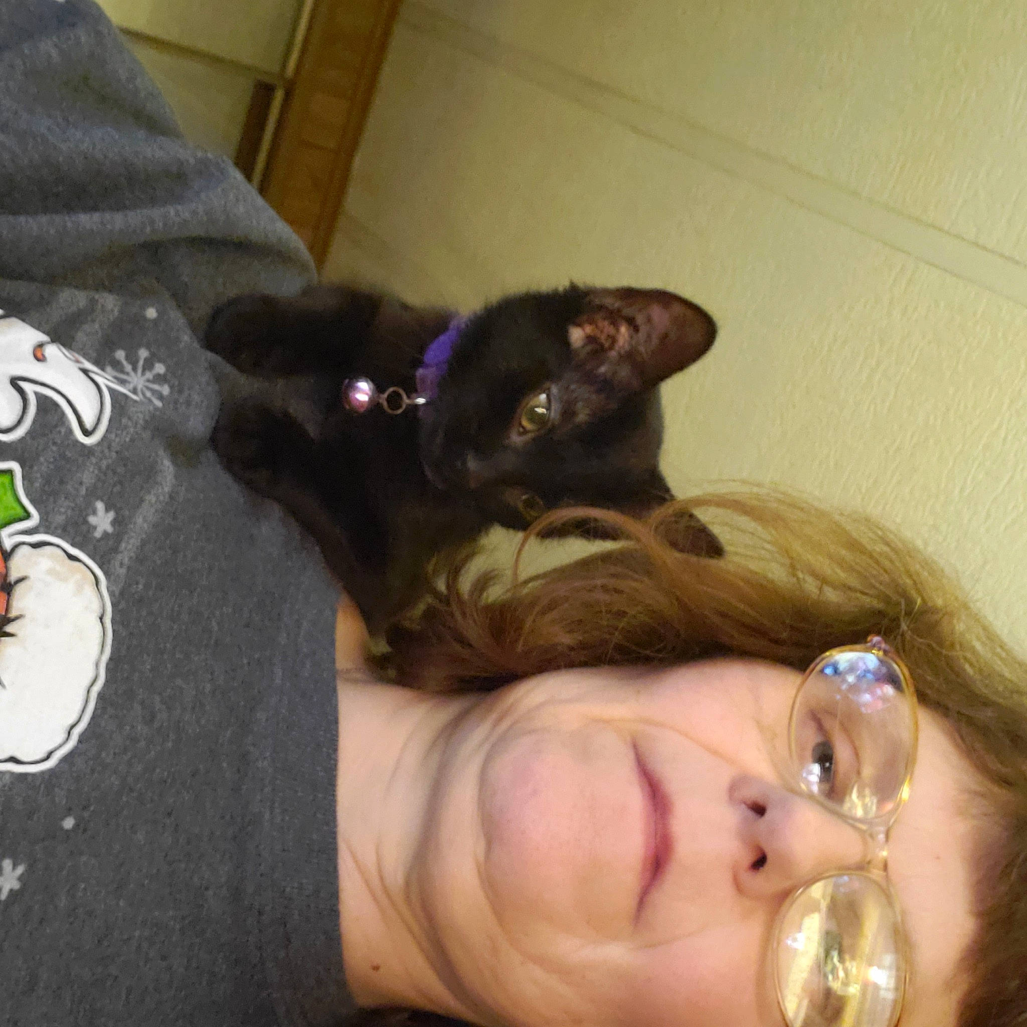 Princess is registered to the contest to win money with this photo: arm, black_hair, carnivore, cat, comfort, cool, ear, eyelash, felidae, gesture, happy, human_body, jaw, long_hair, mouth, neck, small_to_medium_sized_cats, stemware, throat, whiskers