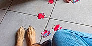 Sully a rejoint le concours — aidez-le/la à gagner de superbes lots ! blue_jeans, brown_dog, casual_clothing, child, companion, dog, floor, hands, head, home, hoodie, indoor, knees, playing, puzzle, puzzle_pieces, quiet_moment, relaxation, resting, tile