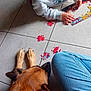 child, dog, puzzle, floor, tile, casual_clothing, indoor, playing, resting, brown_dog, blue_jeans, hoodie, puzzle_pieces, relaxation, companion, home, hands, head, knees, quiet_moment