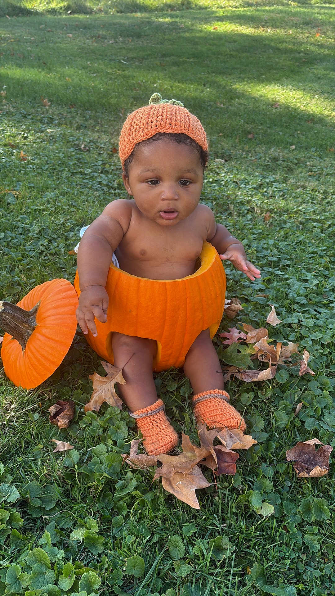 Javan is registered to the contest to win money with this photo: baby, pumpkin, grass, autumn, fall_leaves, knit_hat, knit_booties, outdoor, child, cute, nature, seasonal, orange, sitting, leaf_litter, baby_boy, costume, holiday, harvest, playful
