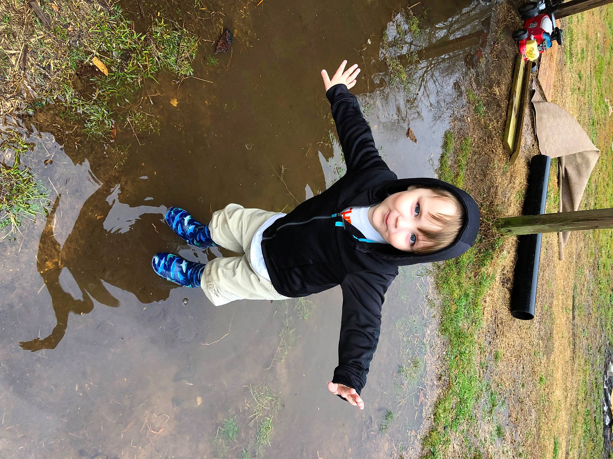 Jaxson is registered to the contest to win money with this photo: adventure, fun, grass, happy, leisure, people_in_nature, person, plant, recreation, smile, soil, tree, water