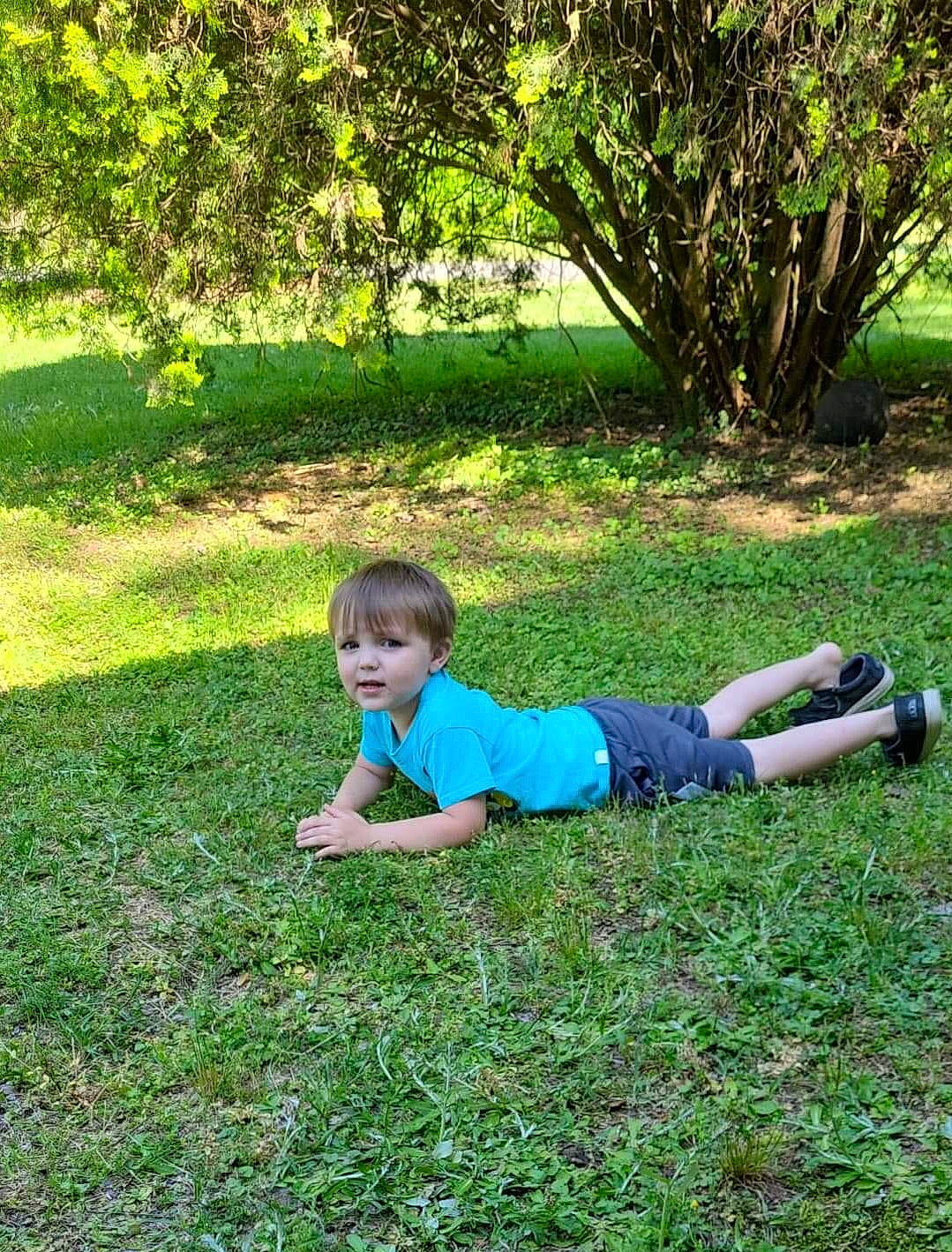 Jaxson is registered to the contest to win money with this photo: child, garden, gardening, grass, grass_family, grassland, groundcover, landscape, landscaping, lawn, leaf, leisure, natural_landscape, people_in_nature, person, plant, recreation, shrub, terrestrial_plant, toddler