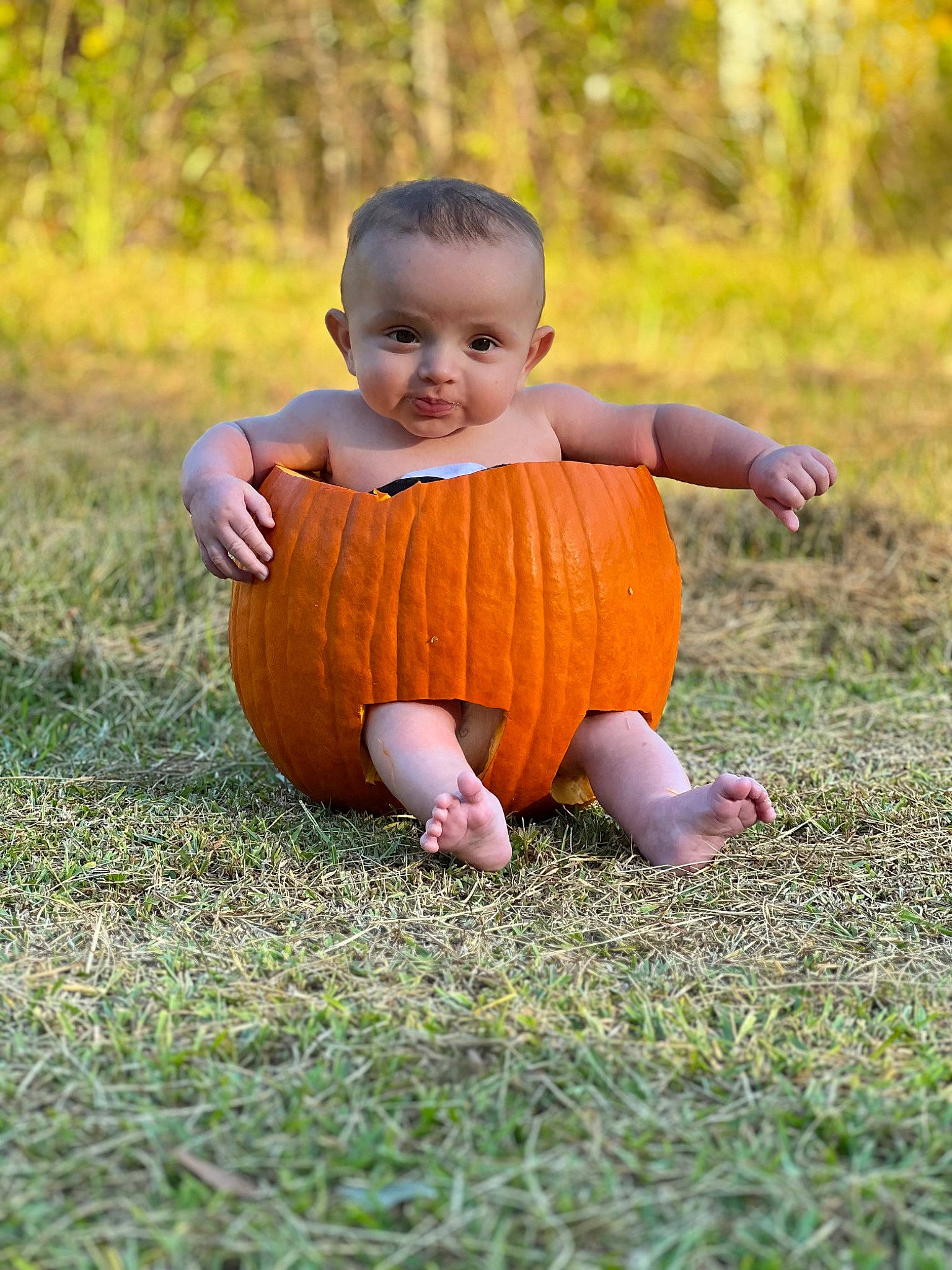 Jase joined the competition — help win amazing prizes! arm, baby_toddler_clothing, ball, eye, face, football, grass, hand, happy, head, human_body, leaf, leg, people_in_nature, person, plant, pumpkin, smile, toddler, tree