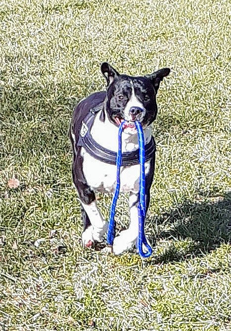 Paco