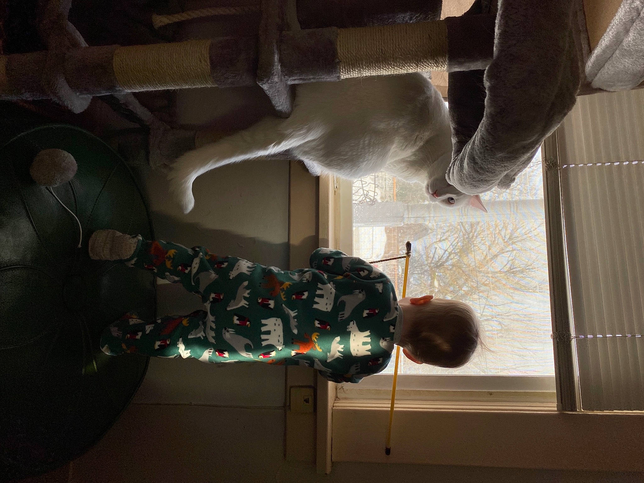 Asher joined the competition — help win amazing prizes! art, building, ceiling, circle, fun, glass, lighting_accessory, machine, metal, musical_instrument, plaster, reflection, room, shadow, space, tints_and_shades, tree, visual_arts, window, wood