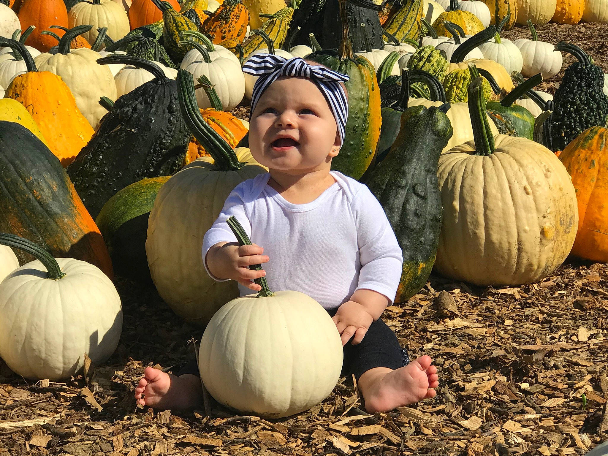 Emmy is registered to the contest to win money with this photo: _and_melon_family, _gourd, calabash, calabaza, cucumber, cucurbita, food, fruit, gourd, headwear, local_food, person, plant, produce, pumpkin, squash, vegetable, winter_squash