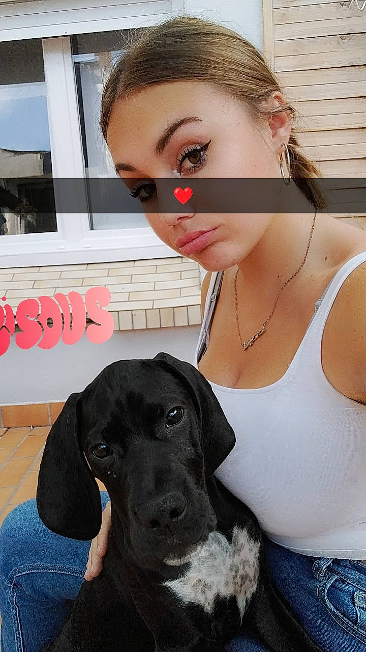 Tina a rejoint le concours — aidez-le/la à gagner de superbes lots ! beauty, black, black_hair, carnivore, companion_dog, cool, dog, dog_breed, eyelash, eyewear, fawn, hairstyle, neck, organ, skin, sporting_group, sunglasses, vision_care, white, working_animal