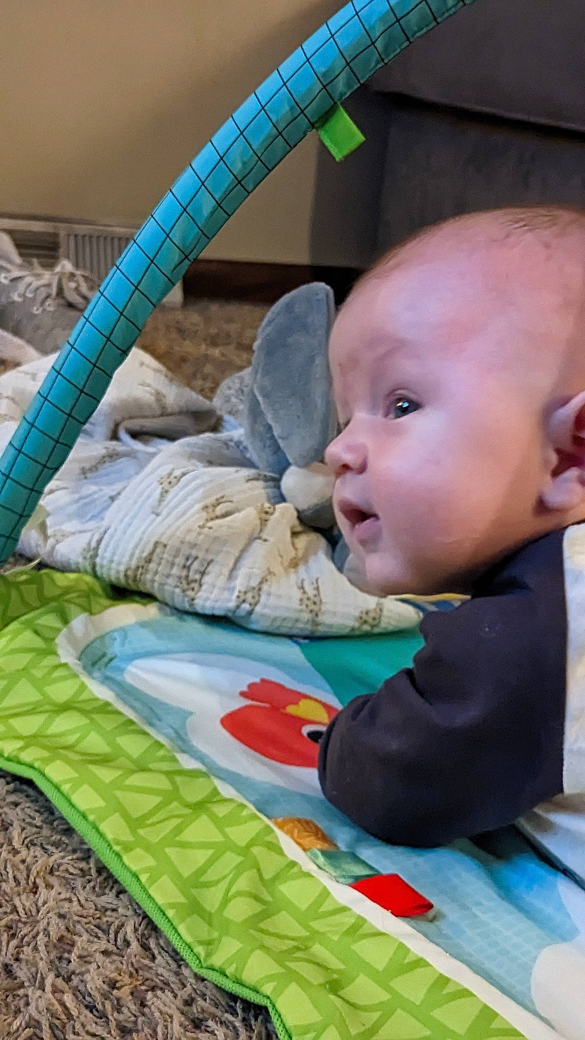 Sebastian joined the competition — help win amazing prizes! art, baby, baby_products, baby_toddler_clothing, cheek, child, comfort, flooring, fun, grass, happy, leisure, linens, mammal, person, product, recreation, sitting, textile, toddler