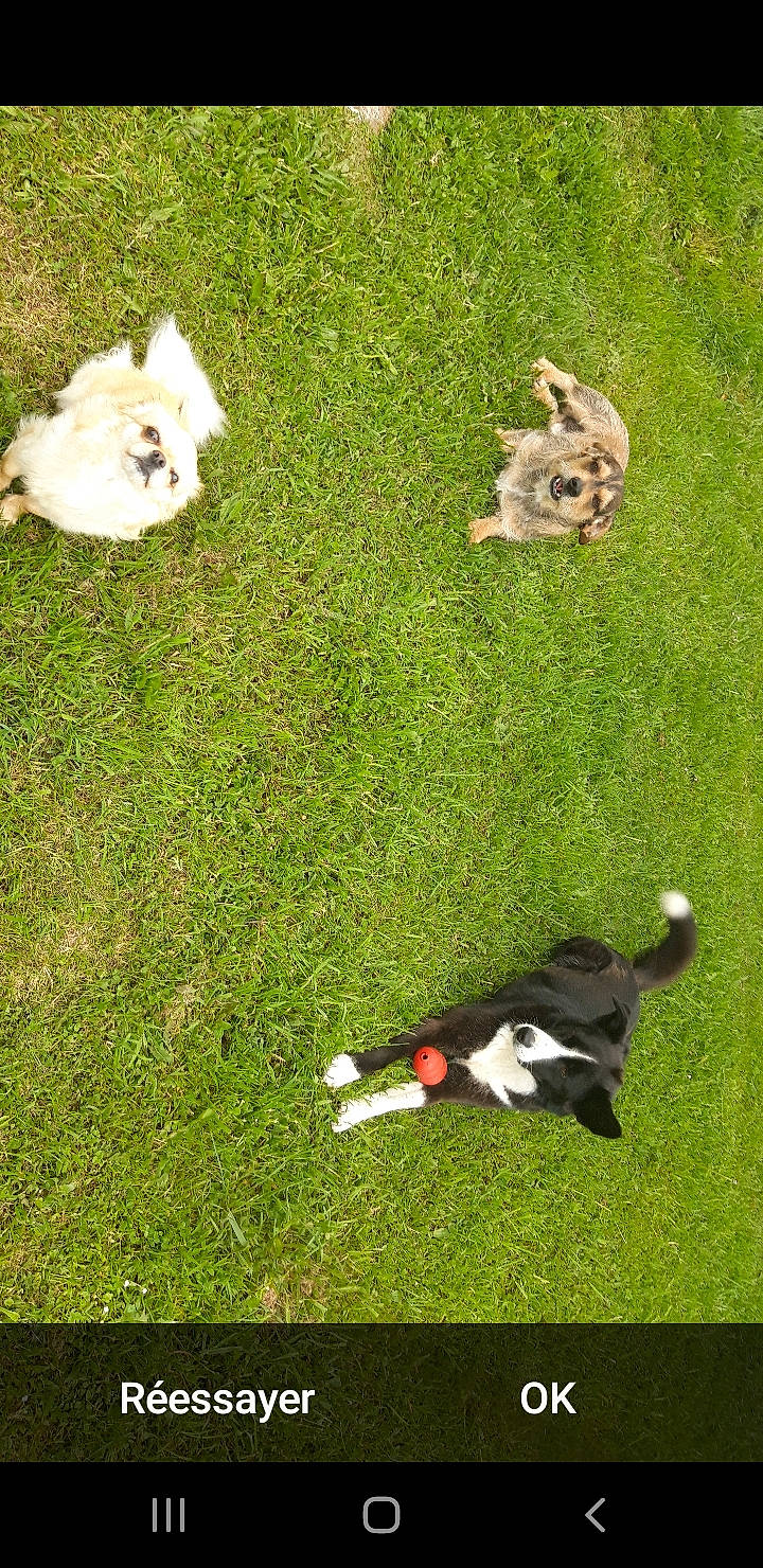 Lou Polochon Et Pioui