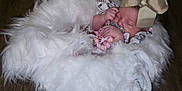 Everleigh joined the competition — help win amazing prizes! baby, blanket, bow, child, comfort, cozy, cute, fluffy, headwear, indoor, infant, newborn, pacifier, person, portrait, resting, sleeping, soft, white, wooden_floor