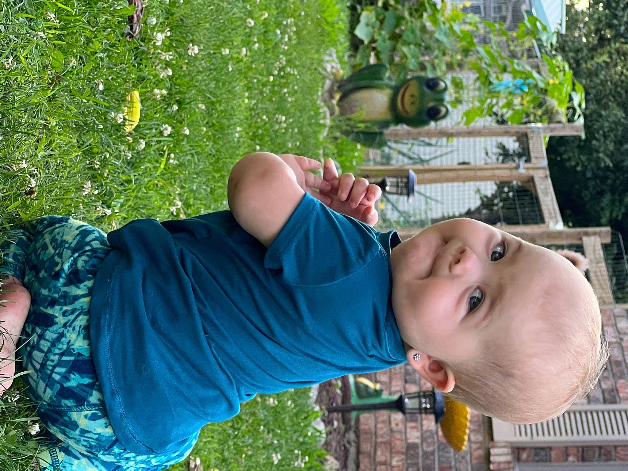 Oakleigh is registered to the contest to win money with this photo: baby, botany, child, fun, garden, grass, grass_family, green, happy, lawn, leaf, leisure, people_in_nature, person, plant, smile, summer, t_shirt, toddler, tree