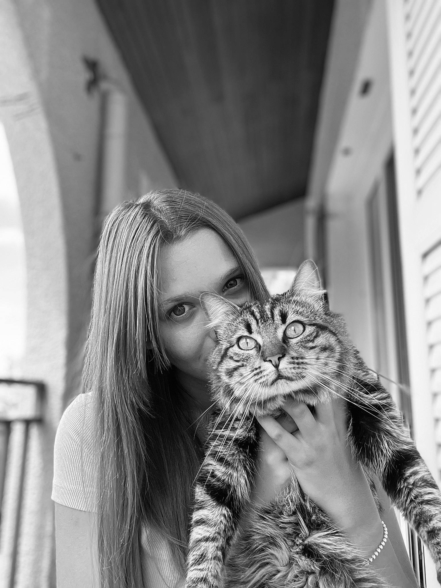 Venom participe au concours pour gagner de l'argent avec cette photo : black, black_and_white, carnivore, cat, eyewear, facial_expression, felidae, flash_photography, gesture, grass, happy, long_hair, monochrome, monochrome_photography, sitting, small_to_medium_sized_cats, snout, style, whiskers, white