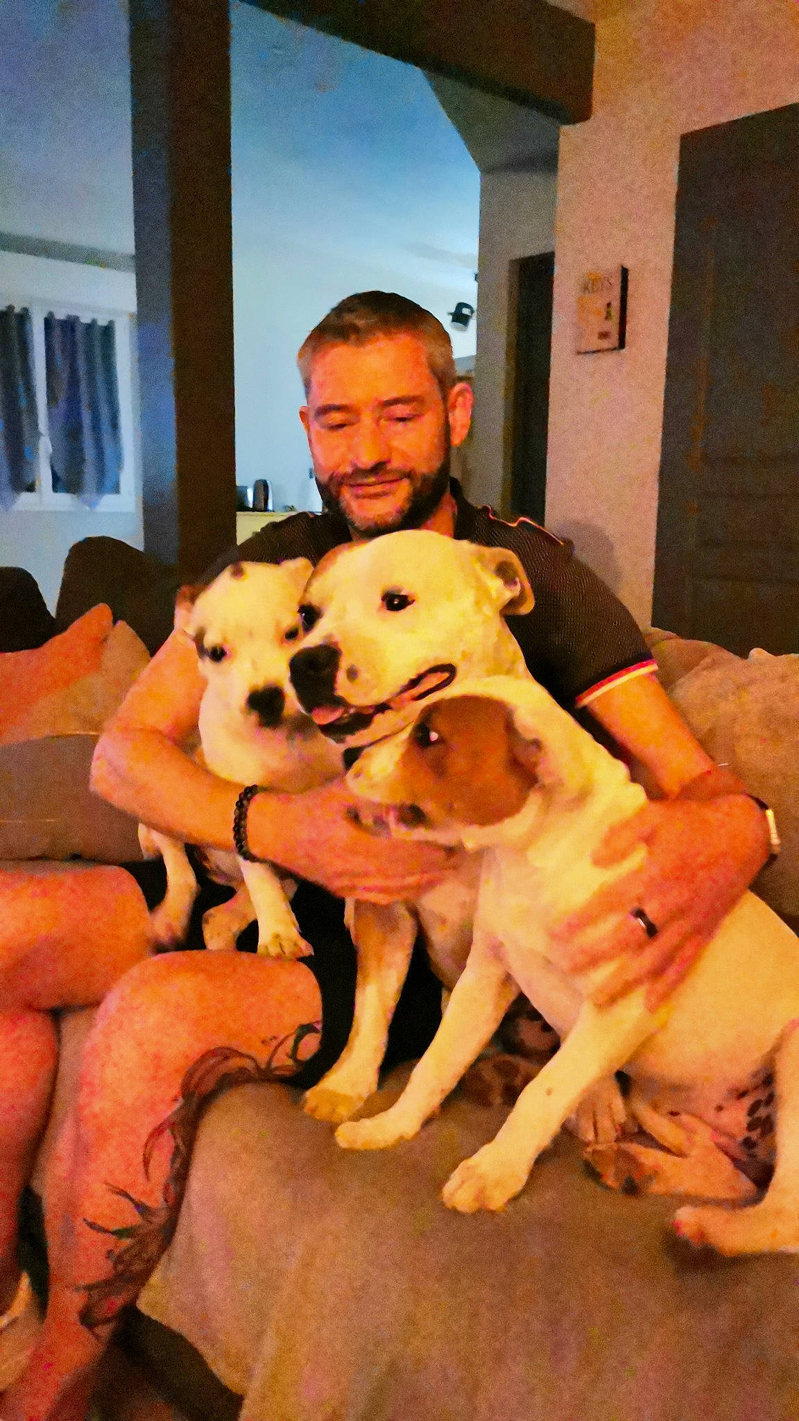 Tsuky participe au concours pour gagner de l'argent avec cette photo : abdomen, bookcase, canidae, carnivore, comfort, companion_dog, dog, dog_breed, door, fawn, flooring, fun, paw, shelf, sitting, smile, sporting_group, thigh, trunk, working_animal