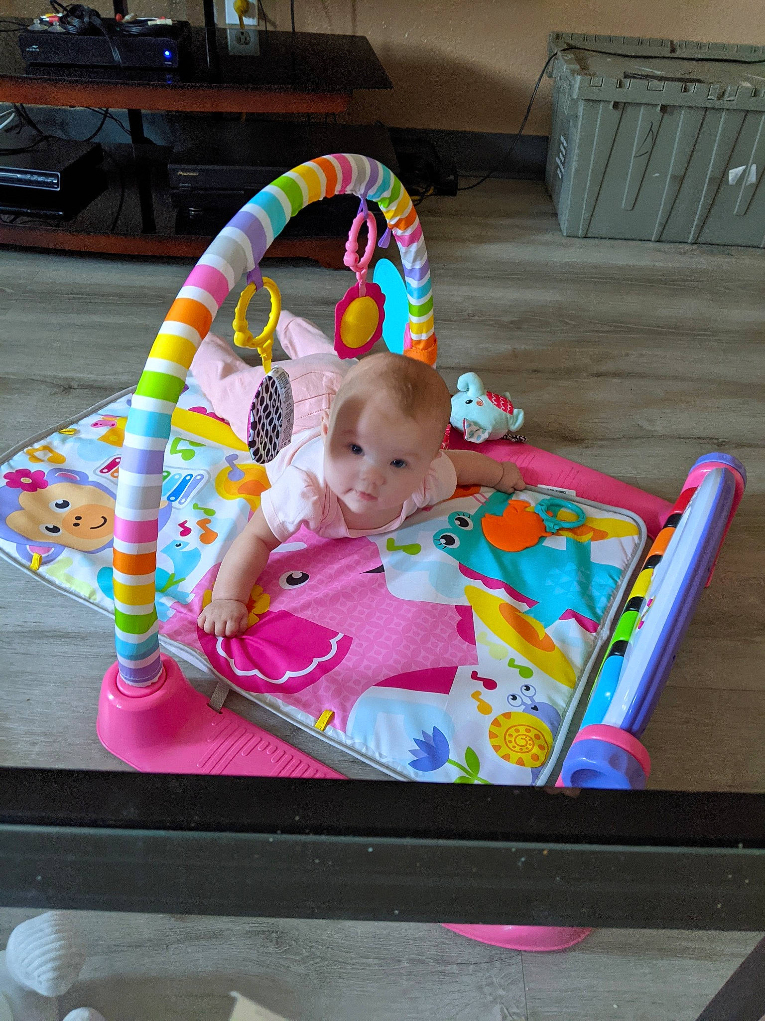 Kennedy joined the competition — help win amazing prizes! baby, baby_products, baby_toddler_clothing, chair, child, comfort, event, fun, lap, magenta, person, pink, play, product, sitting, tire, toddler, wheel