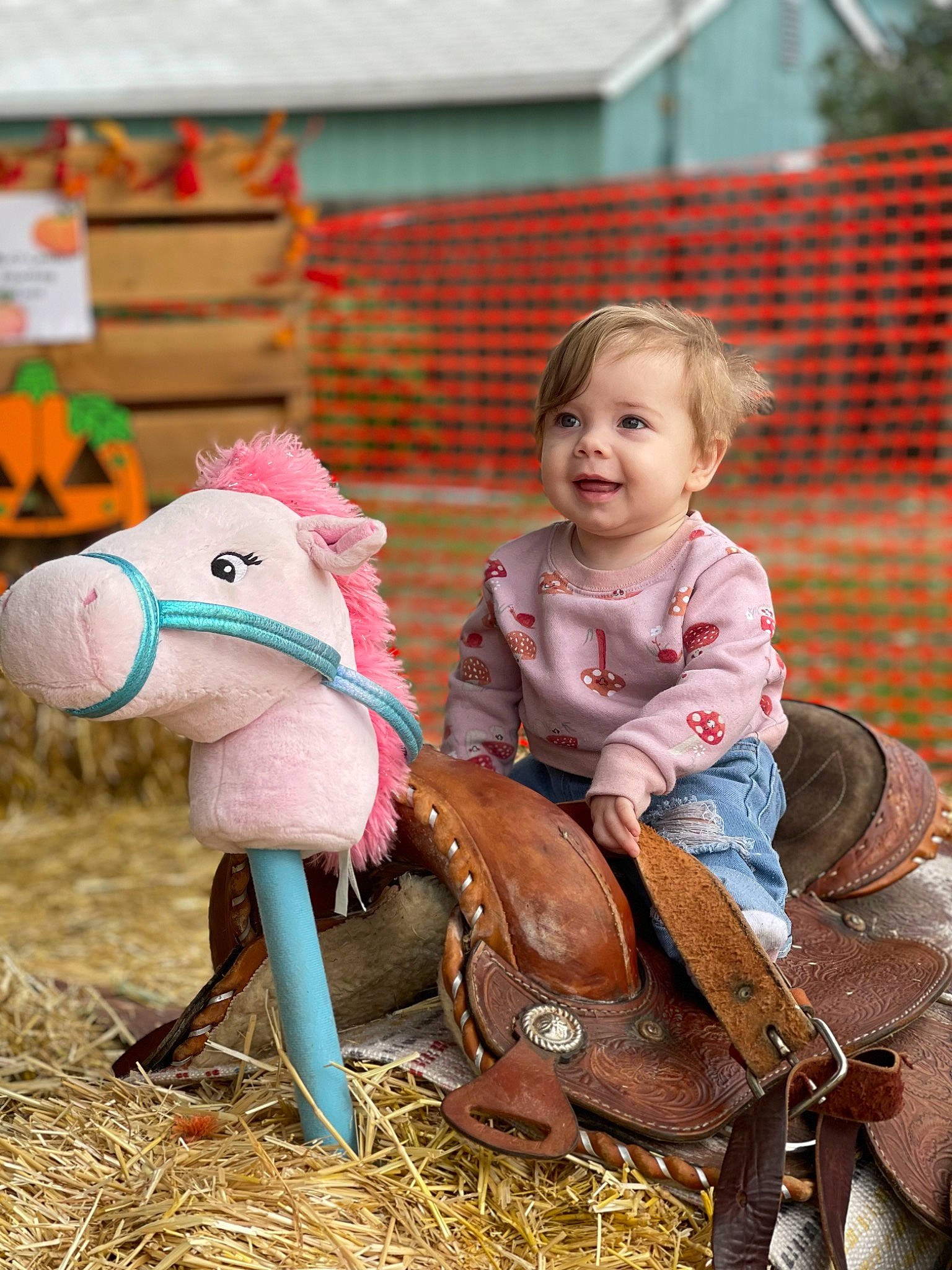 Jillian joined the competition — help win amazing prizes! bridle, child, city, event, fawn, fun, grass, happy, horse_supplies, horse_tack, joy, leisure, livestock, person, play, recreation, sitting, smile, stuffed_toy, toddler