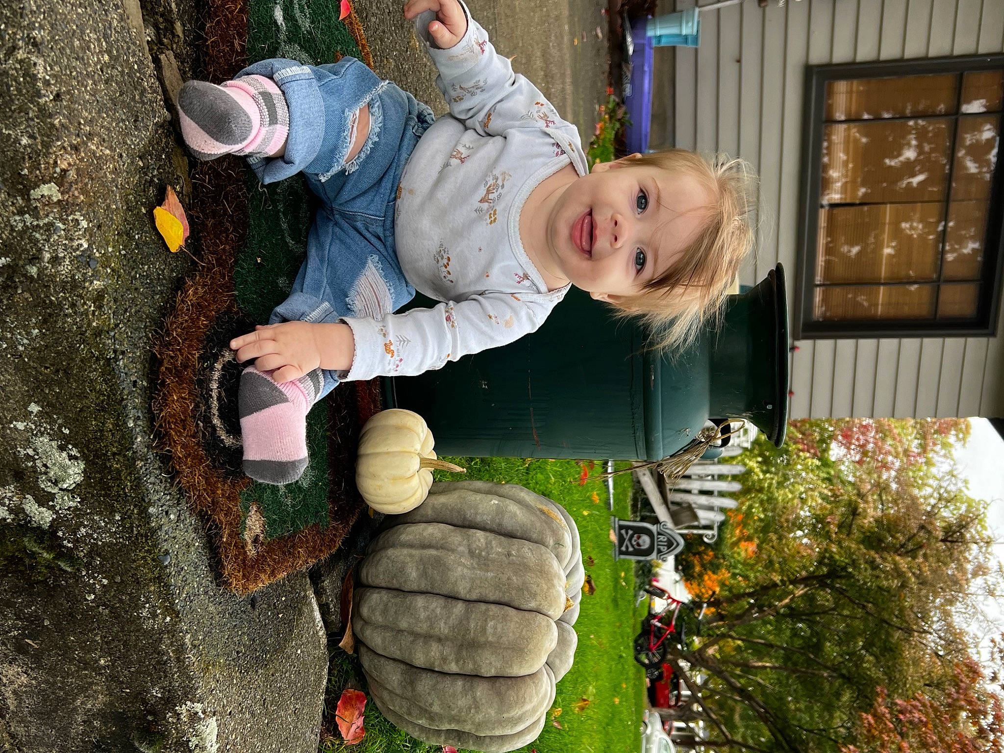 Jillian joined the competition — help win amazing prizes! automotive_tire, baby, face, fun, grass, green, happy, joy, leaf, leisure, light, people, people_in_nature, person, photograph, plant, smile, snapshot, toddler, tree