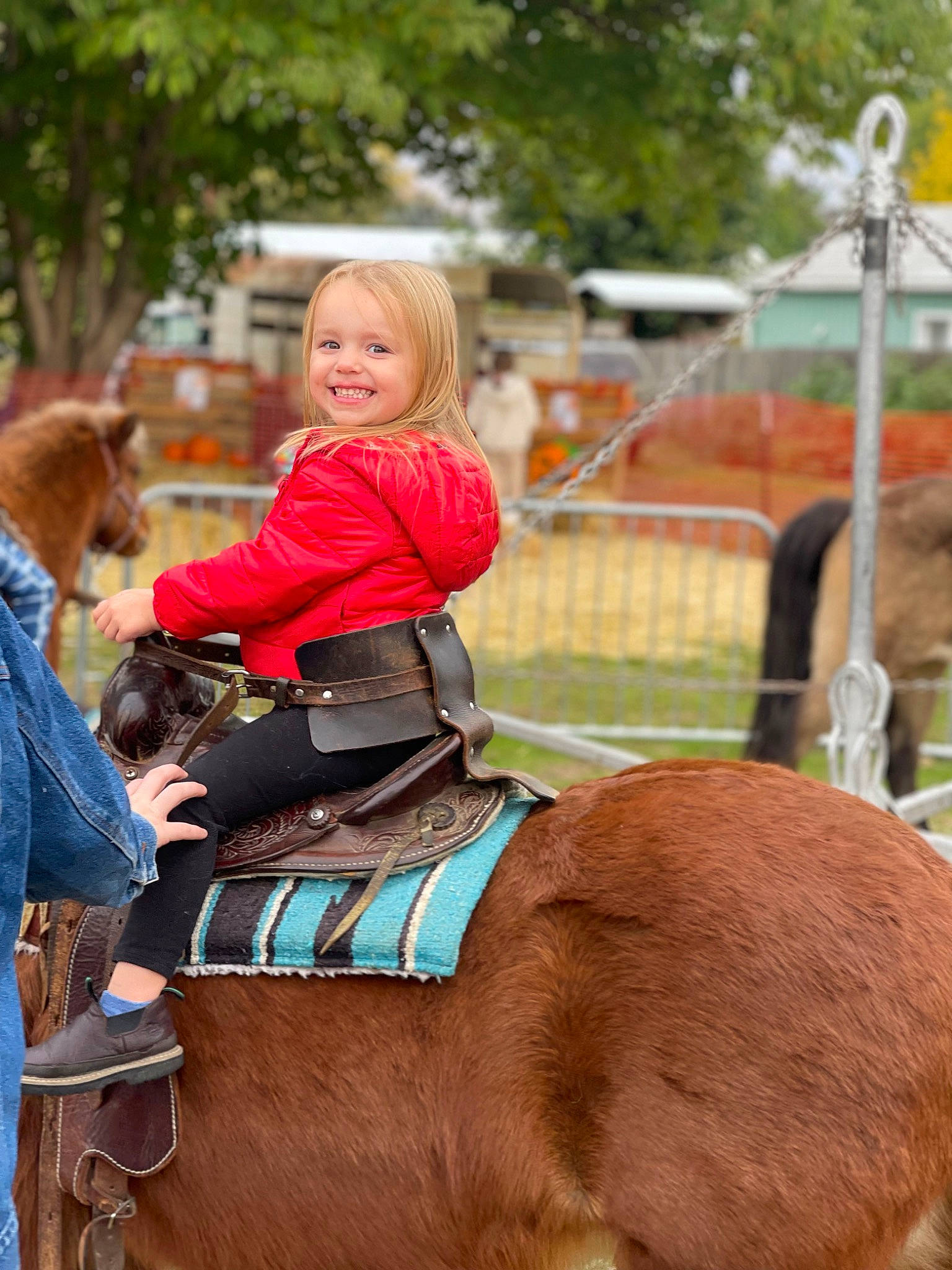 Harper joined the competition — help win amazing prizes! animal_sports, bridle, equestrian_sport, equestrianism, event, horse, horse_supplies, horse_tack, joy, leisure, mane, mare, pack_animal, person, recreation, rein, saddle, sorrel, toddler, tree