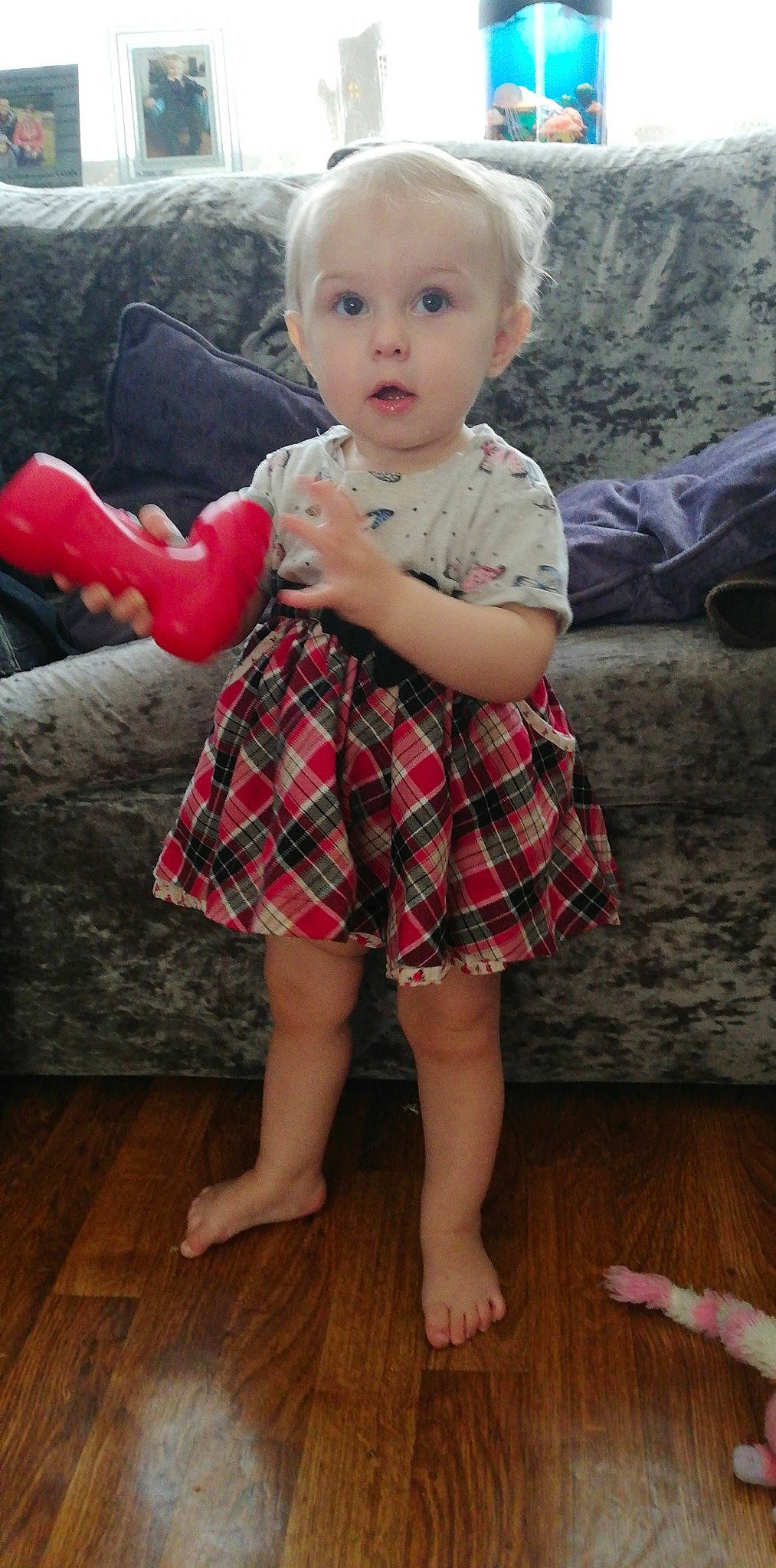 Evelyn-rose joined the competition — help win amazing prizes! baby, cheek, child, design, finger, leg, pattern, person, plaid, sitting, surprise, tartan, textile, toddler