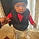 Jamir