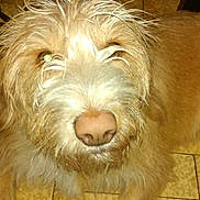 Chouchou participe au concours pour gagner de l'argent avec cette photo :