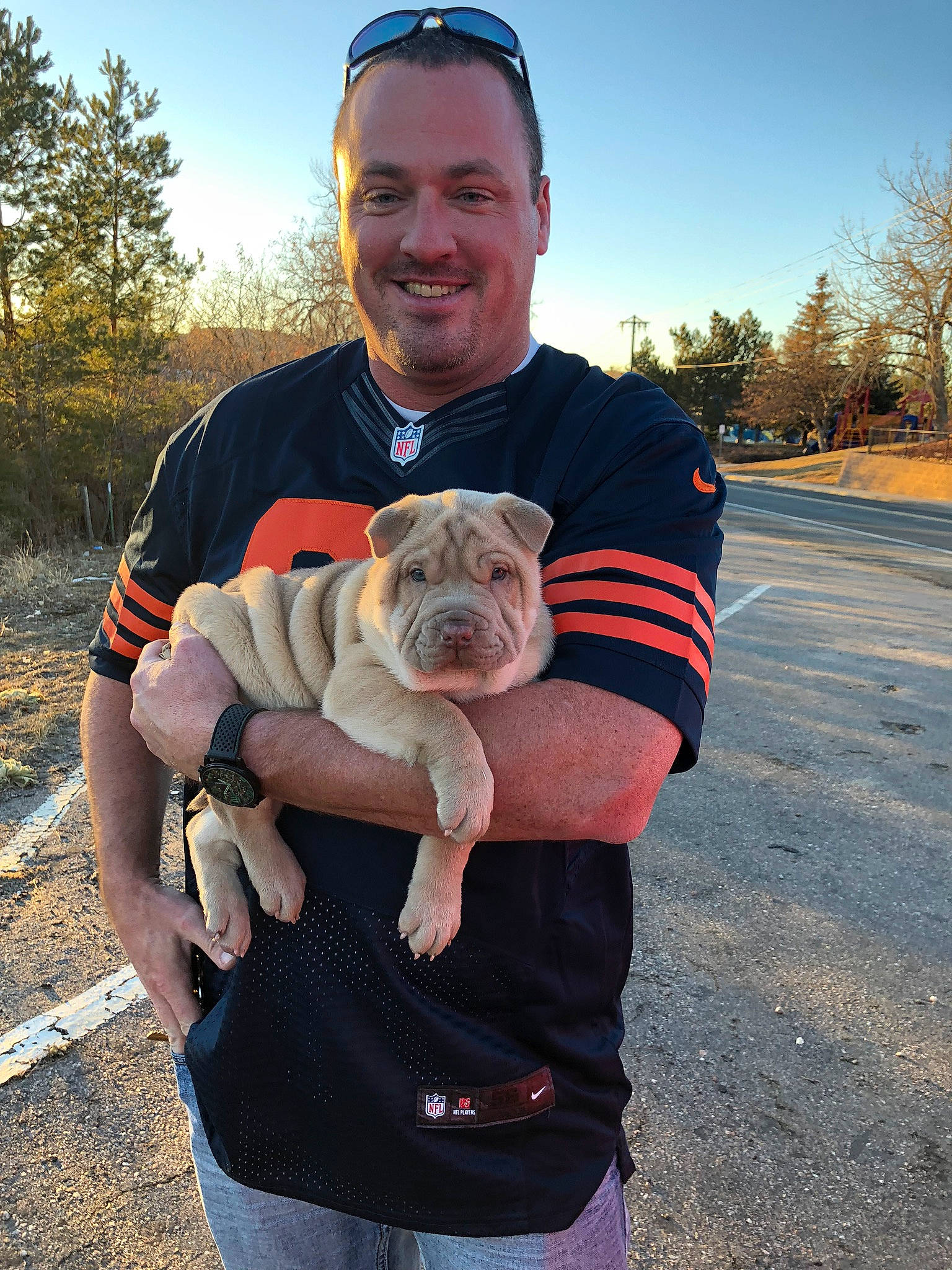 Violet is registered to the contest to win money with this photo: canidae, carnivore, companion_dog, dog, dog_breed, dog_walking, fawn, non_sporting_group, old_english_bulldog, olde_english_bulldogge, pug, puppy, shar_pei