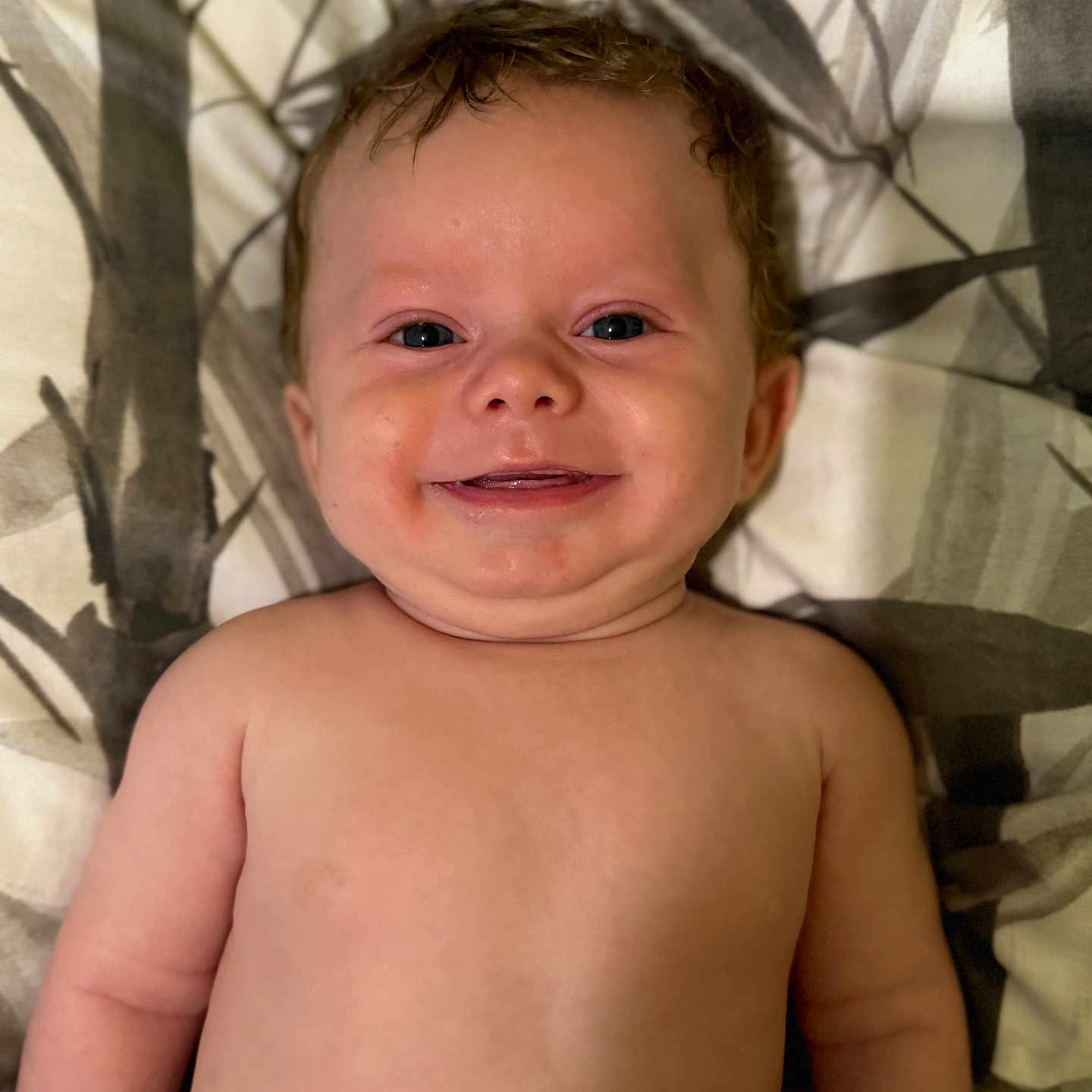 Zachariah is registered to the contest to win money with this photo: baby, blanket, cheeks, child, curly_hair, cute, expression, face, happy, indoors, infant, joyful, lying_down, pattern, person, portrait, skin, smile, toddler, young