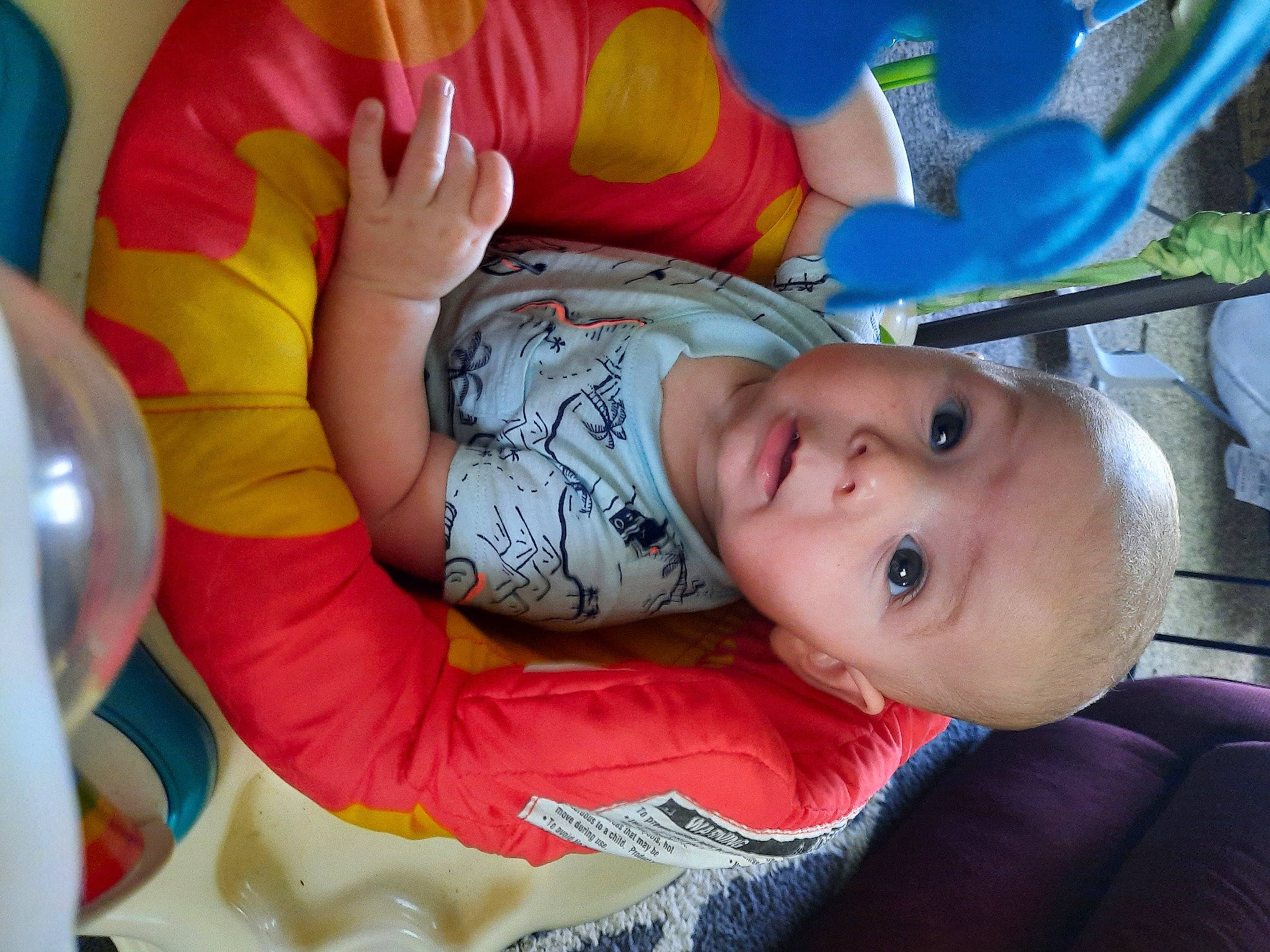 Waylon joined the competition — help win amazing prizes! baby, baby_products, baby_toddler_clothing, cheek, child, comfort, fun, happy, leisure, pattern, person, sitting, toddler, tree