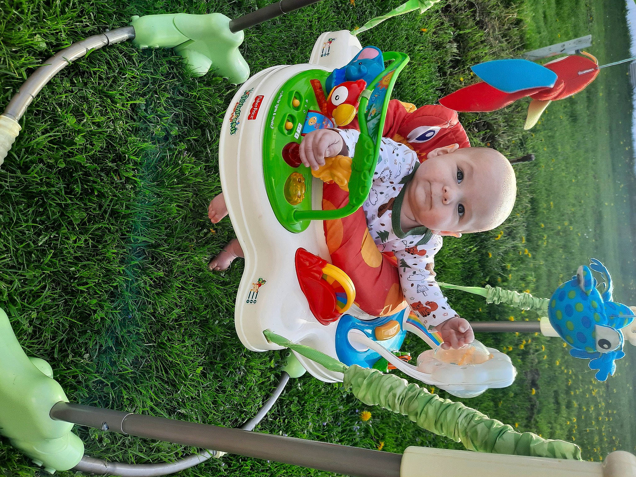 Waylon joined the competition — help win amazing prizes! baby, baby_products, baby_toddler_clothing, baby_toys, child, fictional_character, fun, garden, grass, green, happy, hat, lawn_ornament, leisure, person, plant, play, recreation, toddler, toy