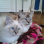 Jimini participe au concours pour gagner de l'argent avec cette photo :