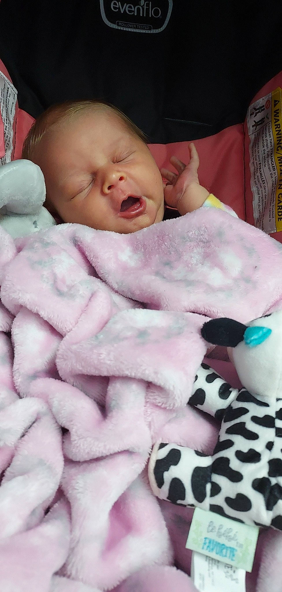 Brinley is registered to the contest to win money with this photo: baby, baby_products, baby_sleeping, baby_toddler_clothing, bedtime, carmine, cheek, child, comfort, fur, linens, mouth, pattern, person, pink, room, skin, sweetness, textile, toddler