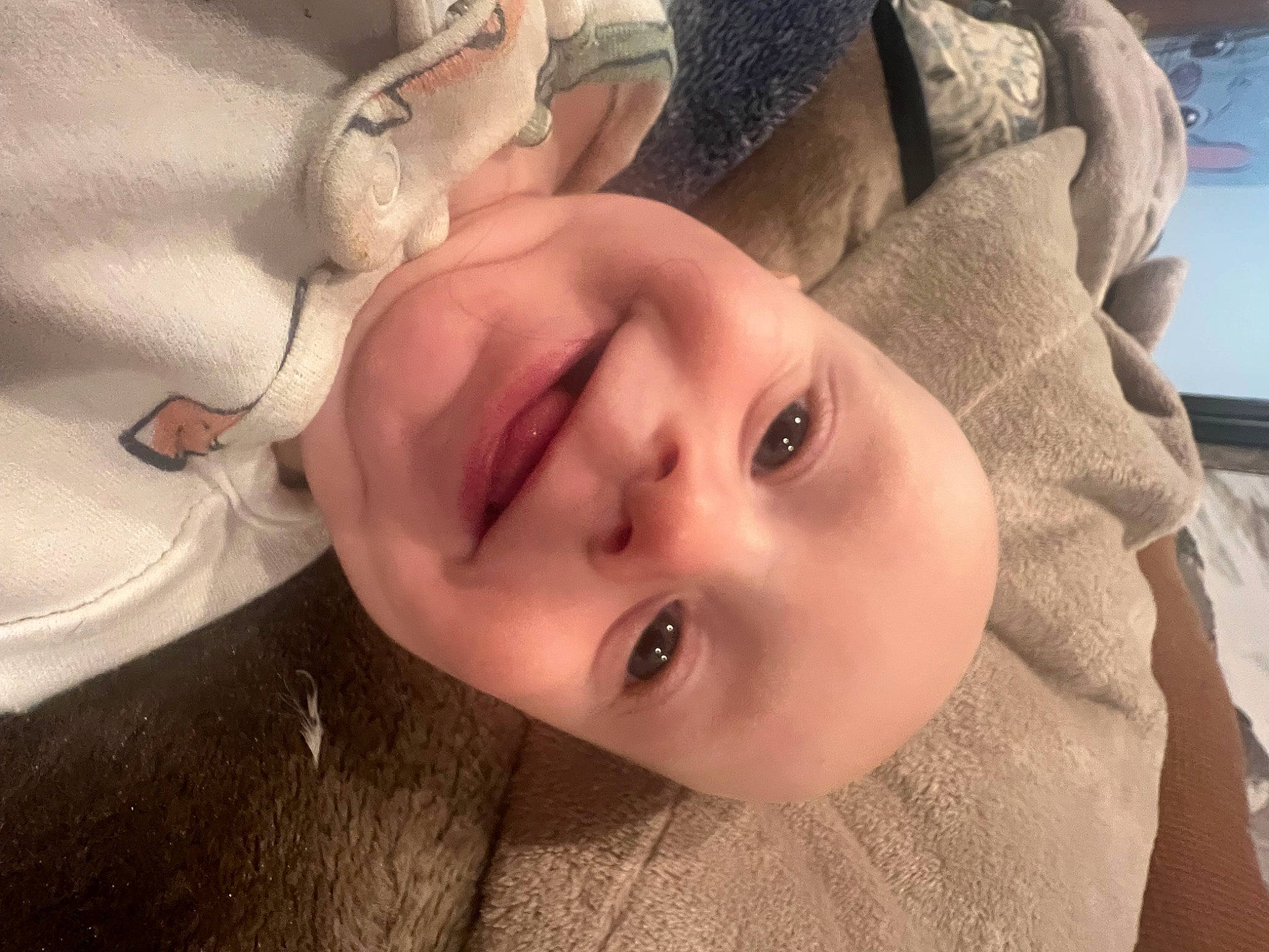 Izzy joined the competition — help win amazing prizes! cheek, chin, ear, eye, eyebrow, eyelash, facial_expression, happy, headgear, iris, jaw, joy, lip, mouth, neck, nose, person, plant, skin, smile