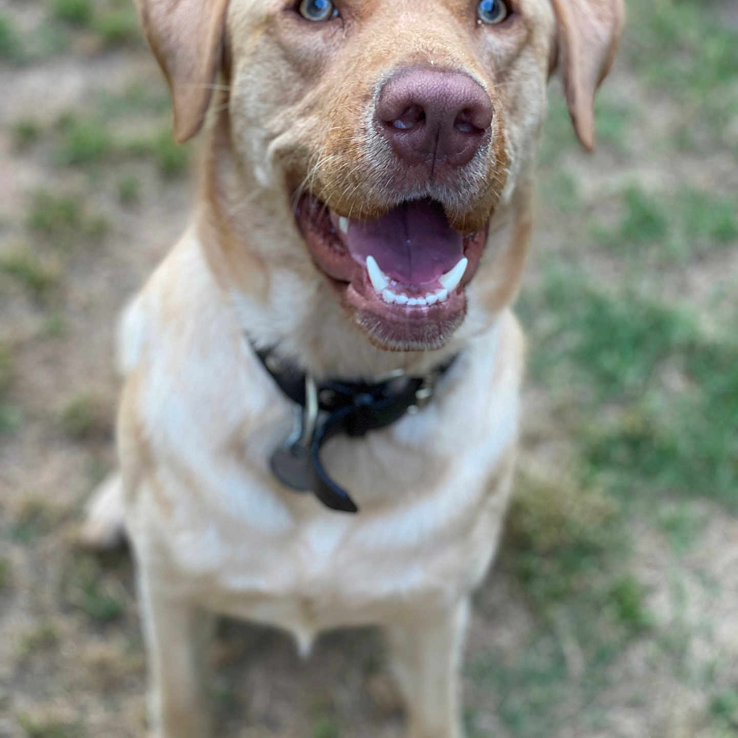 Cooper