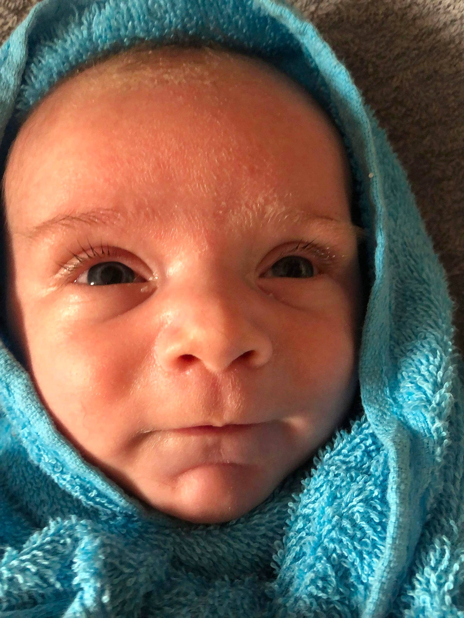 Roméo a rejoint le concours — aidez-le/la à gagner de superbes lots ! azure, baby, black, cheek, chin, ear, eye, eyebrow, eyelash, face, forehead, green, headgear, iris, lip, mouth, nose, organ, person, skin