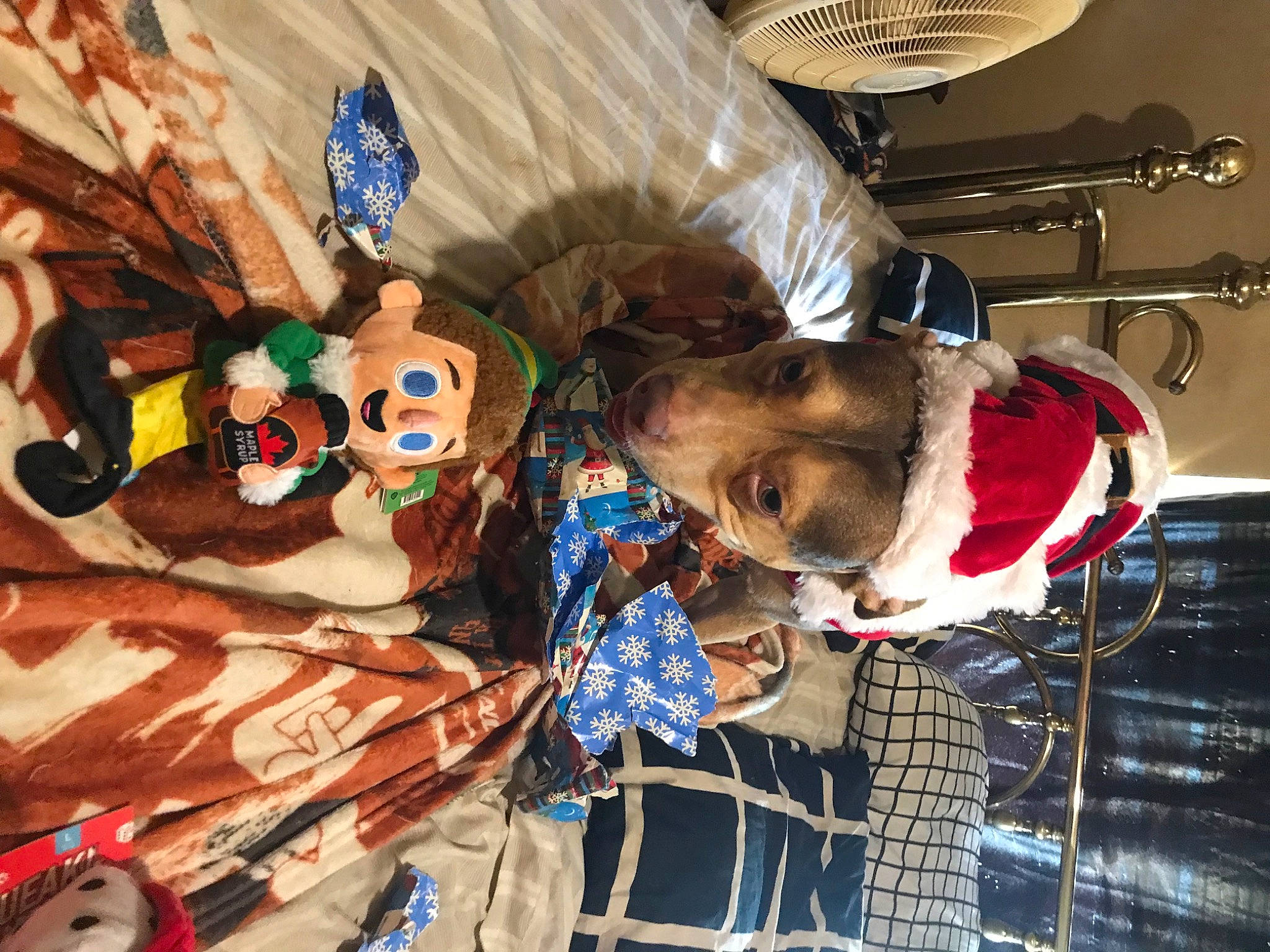 Hercules joined the competition — help win amazing prizes! art, event, fun, mechanical_fan, textile, visual_arts, wood