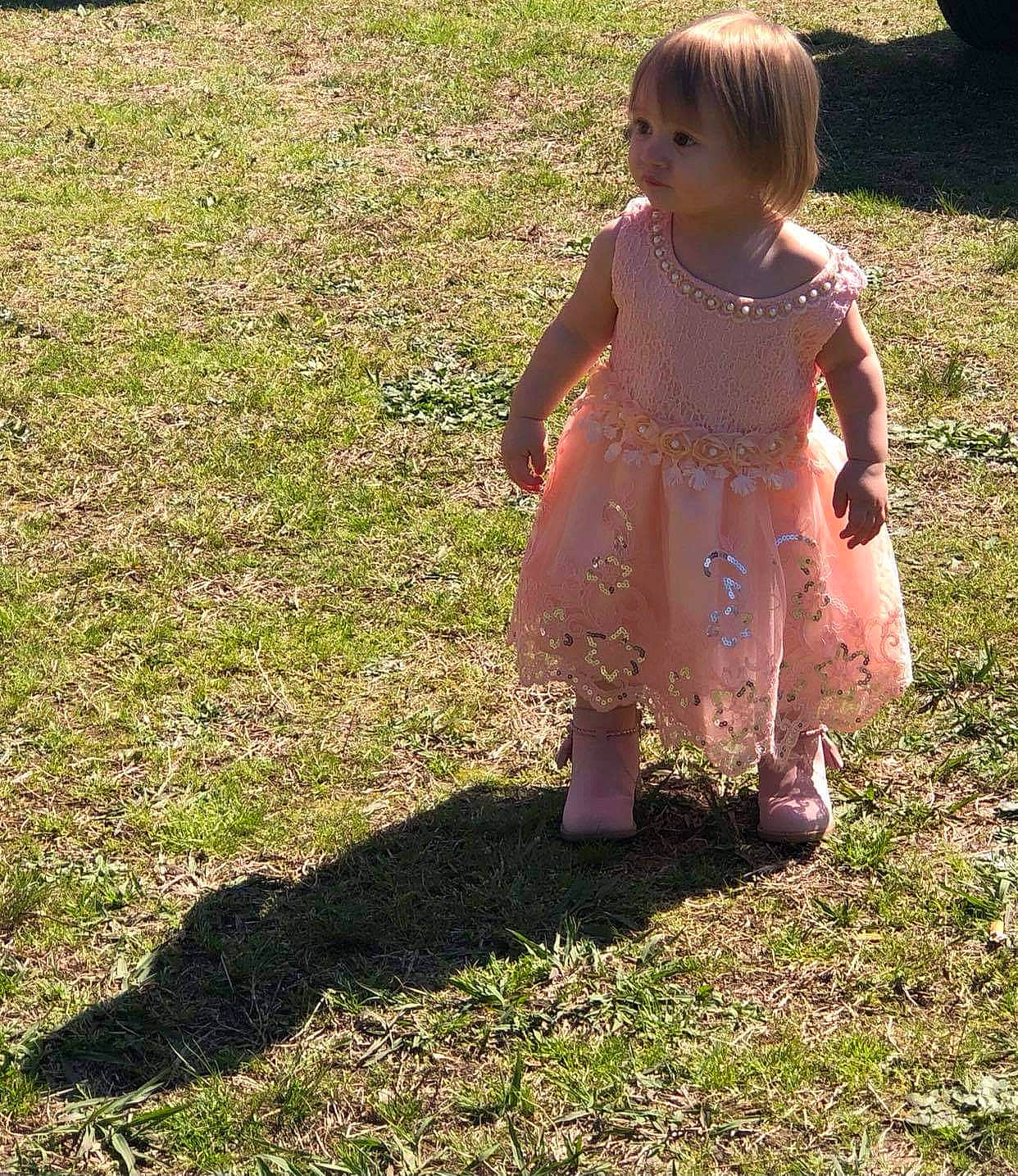 Mileiah joined the competition — help win amazing prizes! baby, baby_toddler_clothing, child, clothing, dress, fun, grass, grass_family, grassland, hair, happy, head, human_body, human_leg, lawn, meadow, people_in_nature, person, plant, tints_and_shades