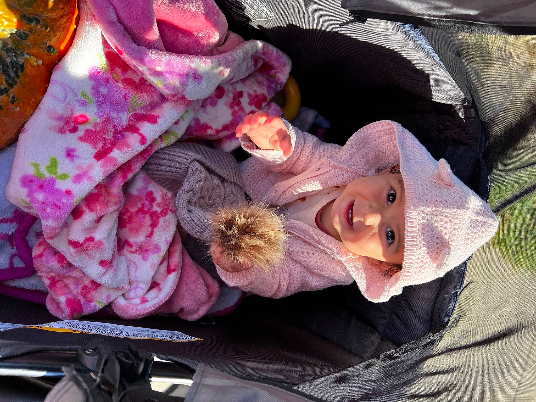 Alivia joined the competition — help win amazing prizes! baby_products, child, cut_flowers, dress, event, fashion_accessory, flower_arranging, hat, headwear, peach, person, petal, pink, plant, smile, textile, toddler, tree, window