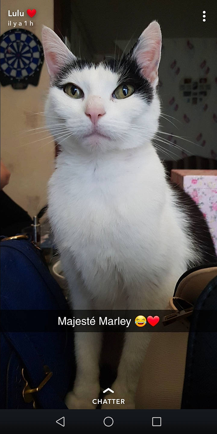 Marley