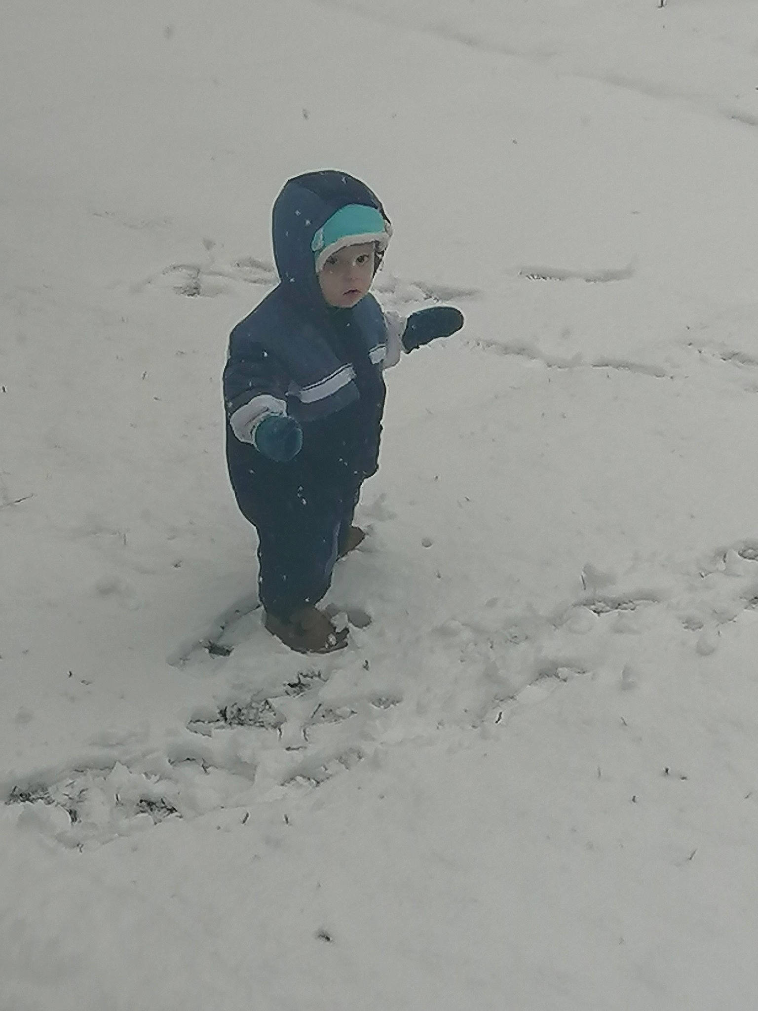 Kowen joined the competition — help win amazing prizes! blizzard, child, freezing, fun, geological_phenomenon, glove, person, play, playing_in_the_snow, recreation, sand, snow, toddler, vacation, winter, winter_storm