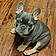 Sir Sergeant Frenchy