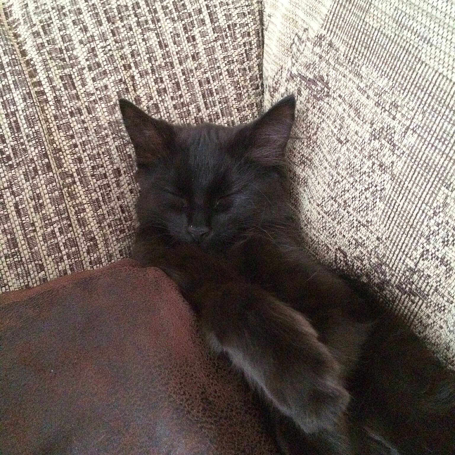 Mona