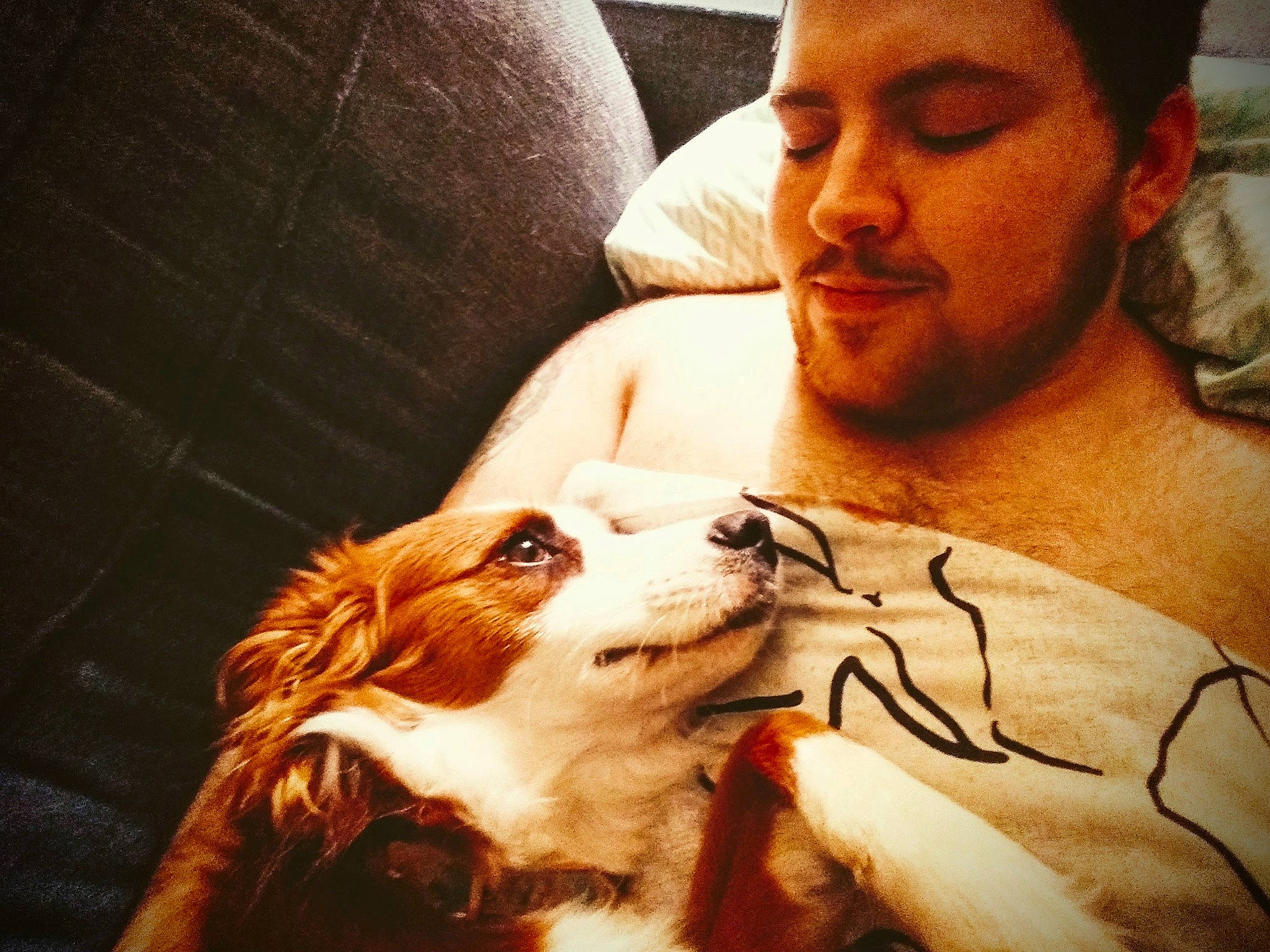 Autumn joined the competition — help win amazing prizes! beard, canidae, carnivore, cavalier_king_charles_spaniel, companion_dog, dog, dog_breed, ear, facial_hair, fur, human, love, mouth, nose, photography, puppy, puppy_love, selfie, spaniel, sporting_group