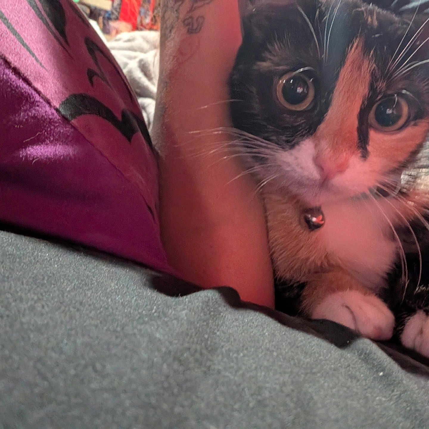 Cali