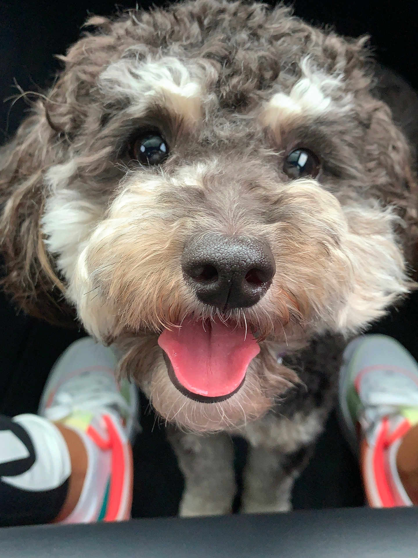 Pepper